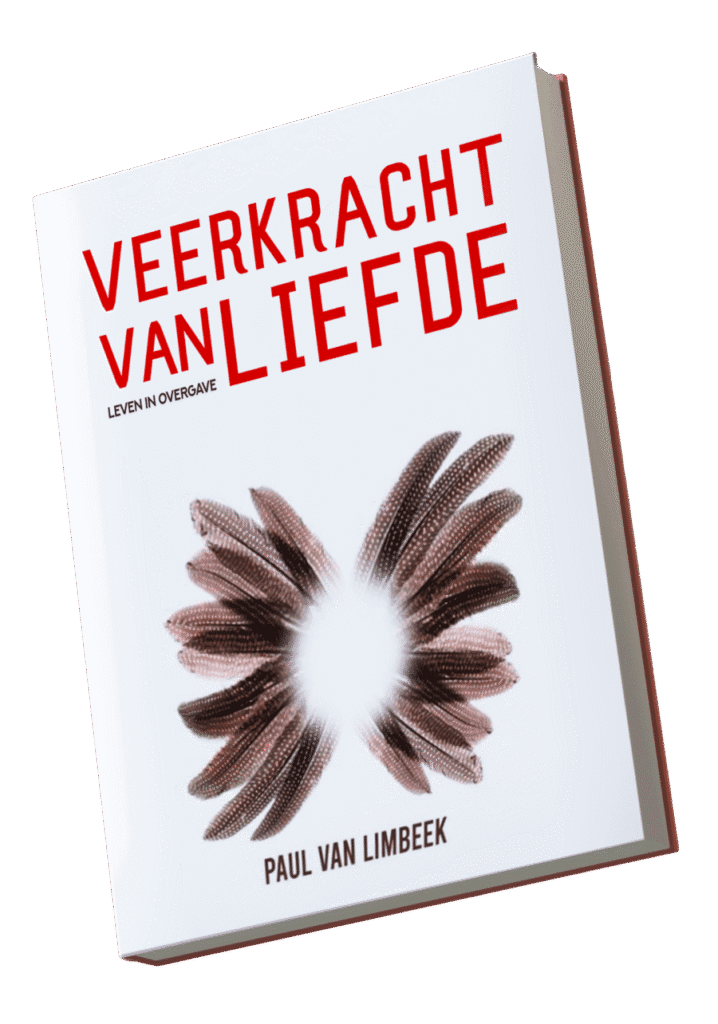 Veerkracht van Liefde transparante cover